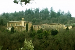 Il Monastero di Sargiano circondato dal Bosco