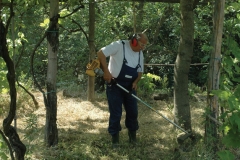 Interventi di miglioramento ambientale